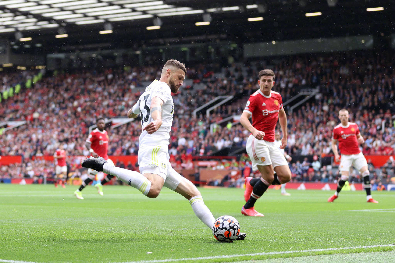 仅是两个足 仅是两个足